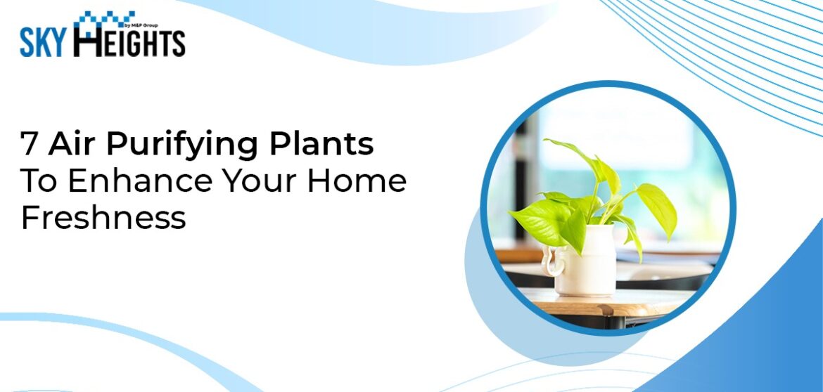 7 Air Purifying Plants To Enhance Your Home Freshness